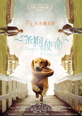 久久免费视频3