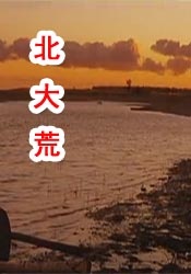 豆奶视频高清免费